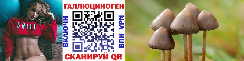 Псилоцибиновые грибы Psilocybe  Торопец 
